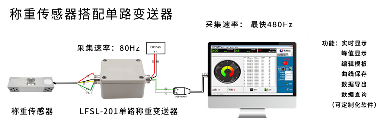 301L称重电脑端显示_02